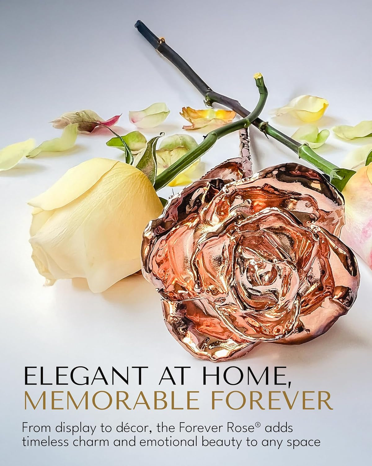 Real Rose Gold Rose, Genuine One of a Kind Rose Hand Dipped in 24K Gold Roses to Last a Lifetime