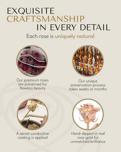 Real Rose Gold Rose, Genuine One of a Kind Rose Hand Dipped in 24K Gold Roses to Last a Lifetime